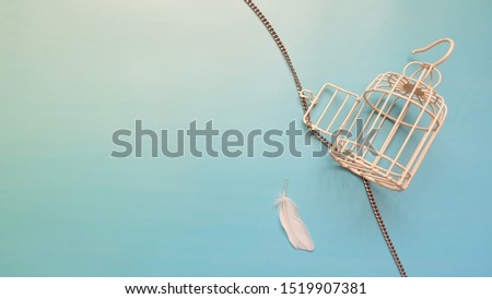 Similar – Image, Stock Photo The empty laying cages of poultry houses, old, decayed, abandoned
