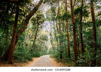 Small Shrine High Res Stock Images Shutterstock