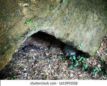 16,677 Small cave Images, Stock Photos & Vectors | Shutterstock