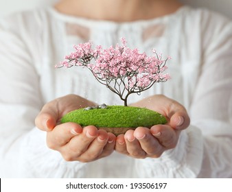Small fantastic island with pink tree in women's hands. Sakura