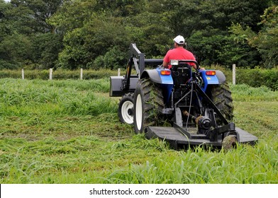 Small Farm Tractor Bush Hogging On A Grass Field