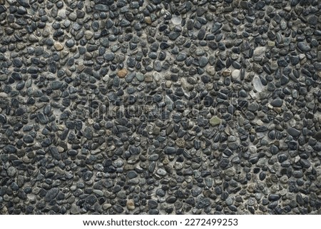 Small Feebles attached on cement
