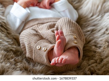 Small Feets Of A Cute Newborn Baby