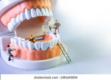 Small figure worker cleaning tooth model as medical and healthcare concept, Regular checkups are essential to oral health.