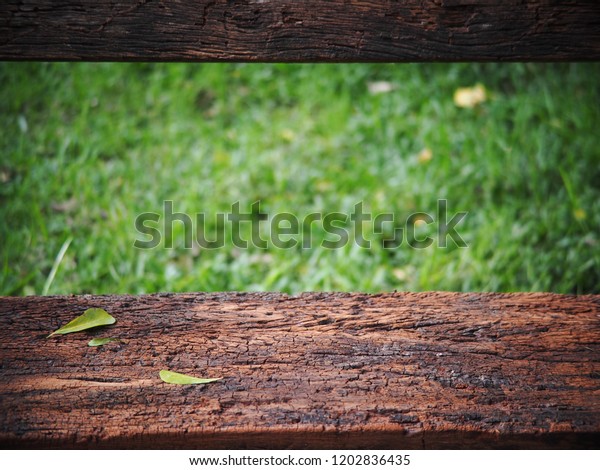 Small Fine Dried Brown Leaves Leafs Stock Photo Edit Now 1202836435