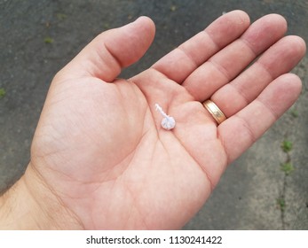 Small Firecracker In Palm Of Hand With Gold Ring