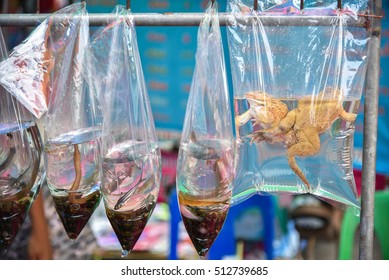 Small Fish And Gold Toad In Small Transparent Plastic Bag For Sale For Fish Releasing Ritual In Traditional Buddhism Ceremony In Thailand .