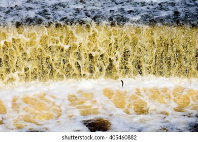 Small Fish Jumping At A Manmade Waterfall Downstream From A Water Reservoir In Lyckeby, Sweden.