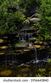 Small Fish Pond Fountain With Several Levels.