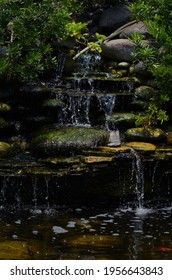 Small Fish Pond Fountain With Several Levels.