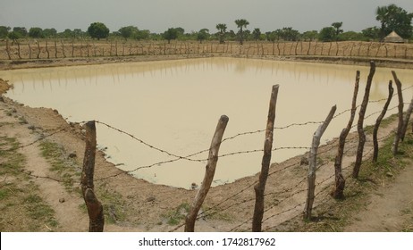 Small Fish Pond In Rural South Sudan Used For Water All Year By Animals