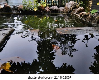 Small Fish Pond With Very Clear Water