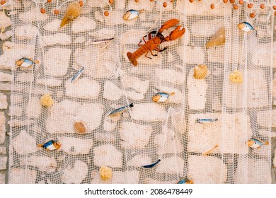 Small Fish, Shells And Crayfish Are Attached As Bait To A Fishing Net