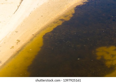 Small Fish Swimming In An Open Storm Water Drain In The City Of Bunbury, Western Australia Flows Into The Indian Ocean On Ocean Beach And Extends For Many Kilometers Through The City's Urban Landscape