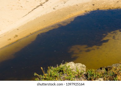 Small Fish Swimming In An Open Storm Water Drain In The City Of Bunbury, Western Australia Flows Into The Indian Ocean On Ocean Beach And Extends For Many Kilometers Through The City's Urban Landscape