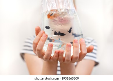 Small Fish In A Transparent Plastic Bag In The Hands Of A Child On A Light Background, Close-up . Aquarium, Breeding Of Tropical Fish, Hobby. Pet Shop. Paracheirodon Innesi, Poecilia Sphenops. 