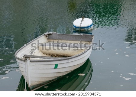 A small fishing boat tied to a bouy in green, murky waters