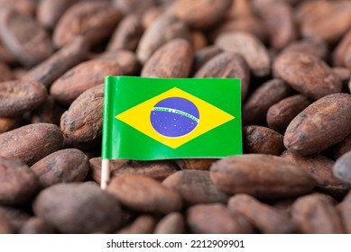 Small flag of Brazil in cocoa beans. Growing cocoa in Brazil, origin of cocoa used for making chocolate