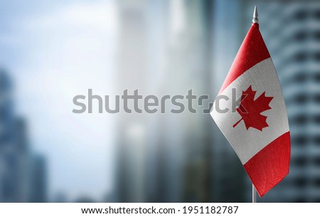 A small flag of Canada on the background of a blurred background