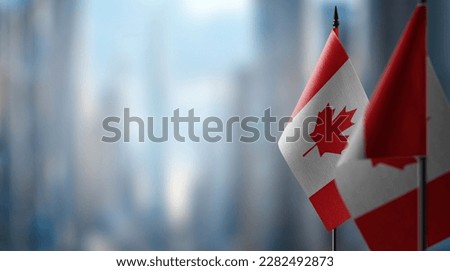 Small flags of the Canada on an abstract blurry background.