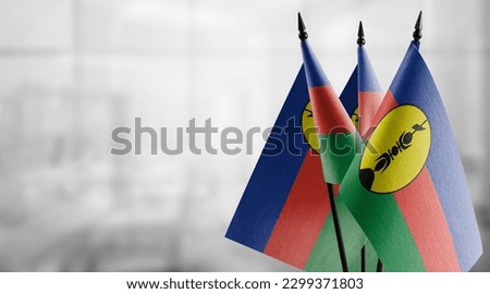 Small flags of the New Caledonia on an abstract blurry background.