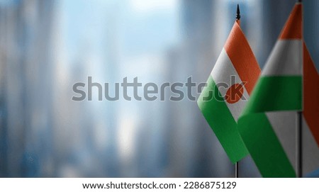Small flags of the Niger on an abstract blurry background.