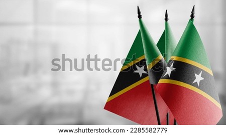 Small flags of the Saint Kitts and Nevis on an abstract blurry background.