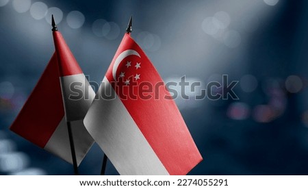 Small flags of the Singapore on an abstract blurry background.