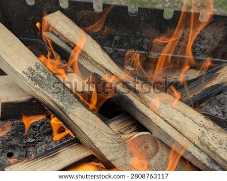 Small flames flicker in the embers of a campfire. The thin branches of the firewood burn down to create heat for searing meat. A delicious prelude to an outdoor lunch on a clear cool day.