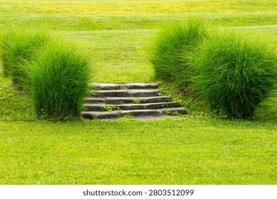 A small flight of weathered stone steps cuts into a sloping green hillside in Flat Rock, North Carolina. The rustic stone stairs are framed by large, vibrant tufts of bright green ornamental maiden grass growing on either side. Captured under soft, even summer daylight, this tranquil landscape scene highlights natural stone masonry and manicured garden design.