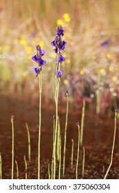  small flower