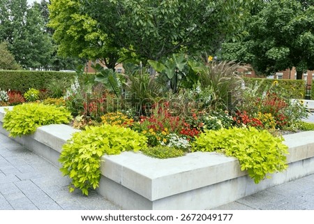 Small flower bed in full bloom