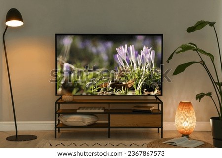 Small flowers on TV screen in room