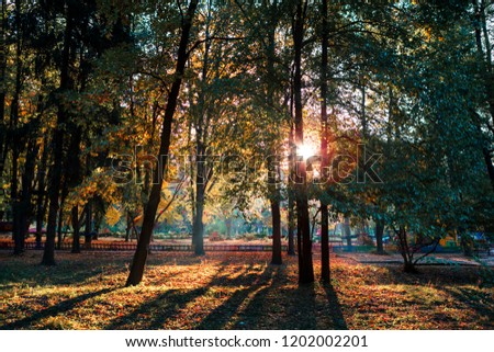 Similar – Herbstspaziergang mit Hund