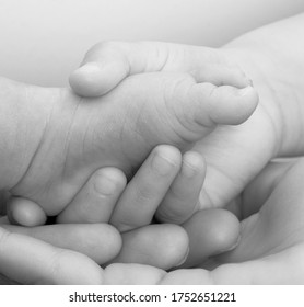 A Small Foot Of A Newborn In The Hand Of A Sister, Mom And Dad. Black And White Photography. Depicts A Happy Family In Which A New Baby Was Born.