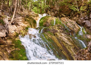 Small forest cascade flowing between rocks and moss.
