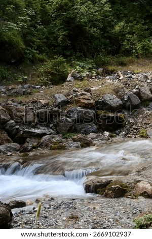 Small forest River longtime exposure