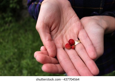 Small forest strawberry