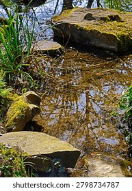  Small forest stream flowing over rocks with green moss in summer, crystal clear water reflection in wild woodland nature, sunny day scenic landscape  river in the forest.
