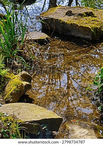  Small forest stream flowing over rocks with green moss in summer, crystal clear water reflection in wild woodland nature, sunny day scenic landscape  river in the forest.