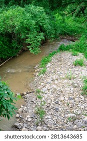 Small forest stream flowing through lush green trees and bamboo foliage.
a natural muddy water stream flowing through a peaceful forest with green bushes, bamboo leaves hanging over the creek, and a pebbled rocky shore in rural Thailand.