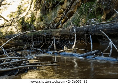 A small forest stream with sandstone outcrops, Vildoga