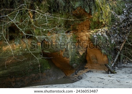 A small forest stream with sandstone outcrops, Vildoga