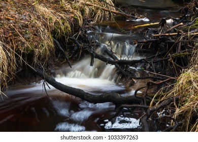 small forest stream with a waterfall