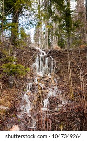 Small Forest Waterfall