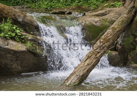Small forest waterfall of the Bukovynskyi Waterfall complex flowing over moss covered rocks in a lush woodland landscape of Ukraine.