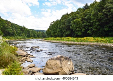 A Small Forested River In Western Pennsylvania.