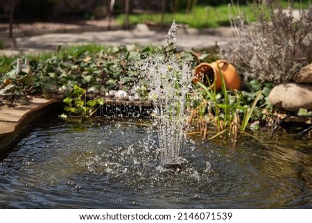 A small fountain on a small lake in the yard.