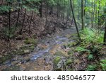 A small  freestone mountain stream deep in the Appalachian Mountains of the Eastern United States. 