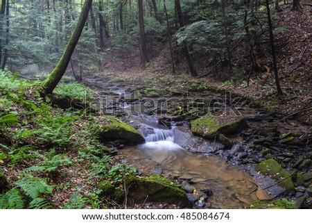 A small freestone mountain stream full of native Brook Trout in the Allegheny Mountains of Pennsylvania.